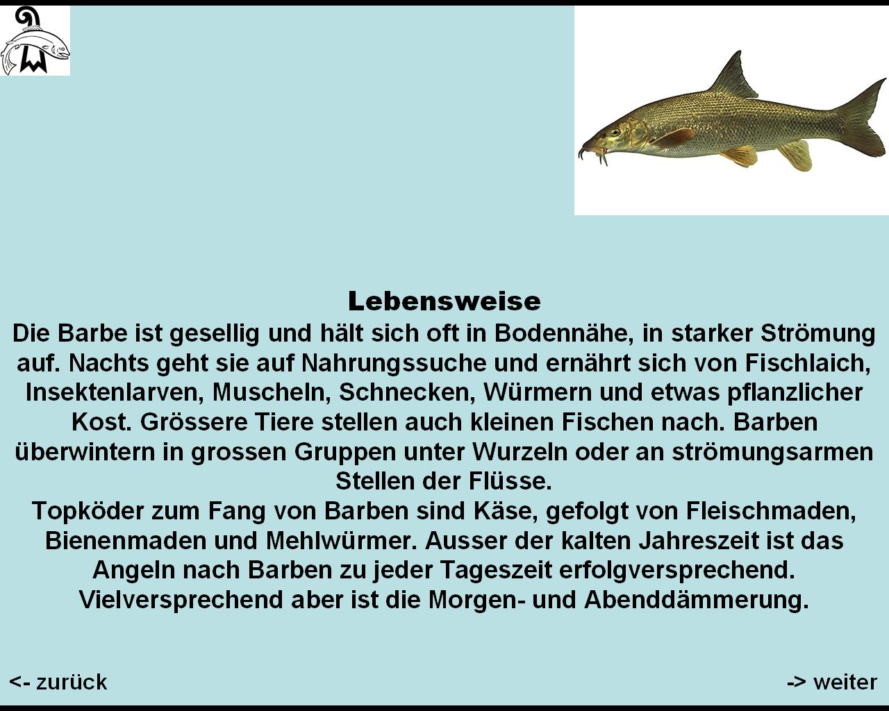 bild 108